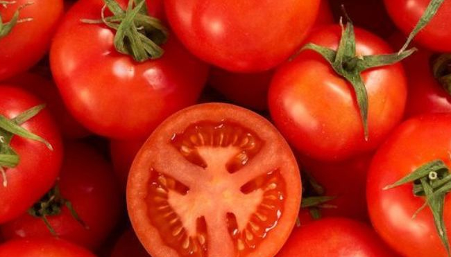 Mengenal Ciri dan Manfaat Tomat untuk Kesehatan